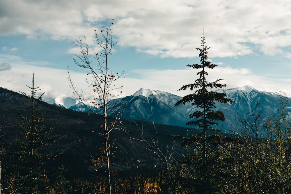 a snowy mountain range