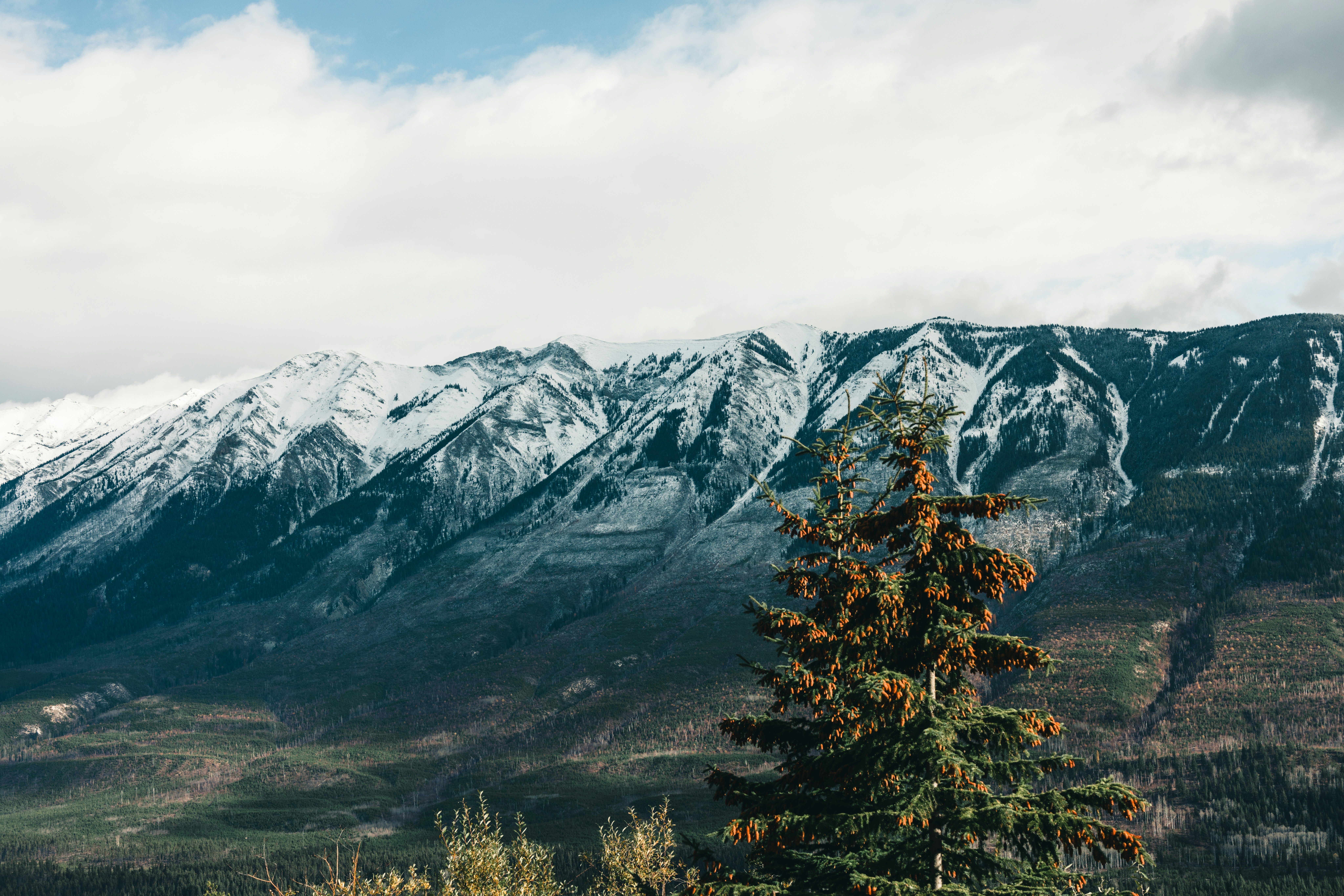 Photo by lureofadventure