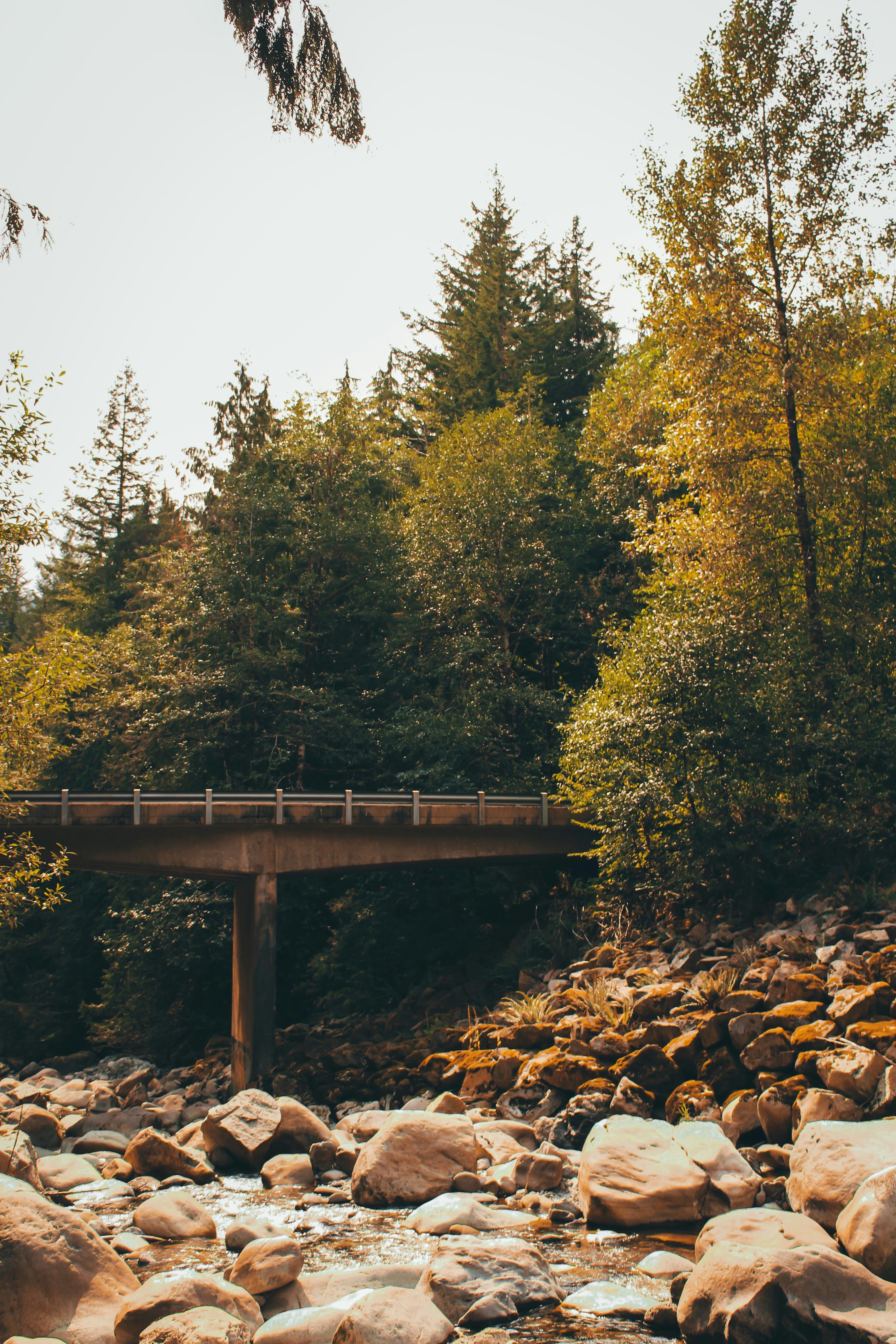 Photo by lorinlindell