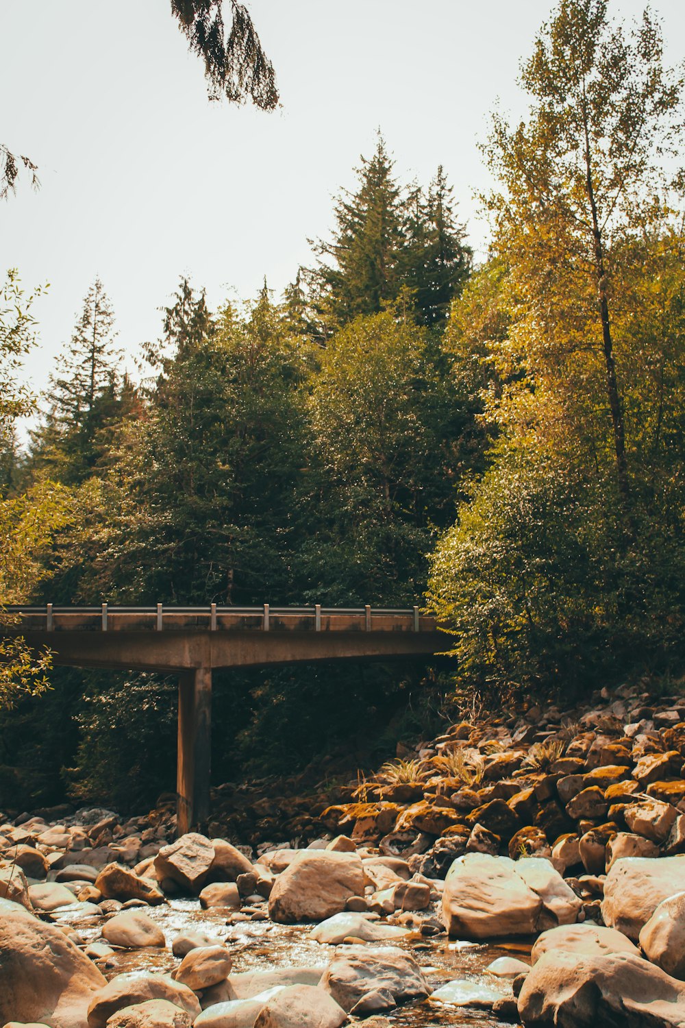 a bridge over a river