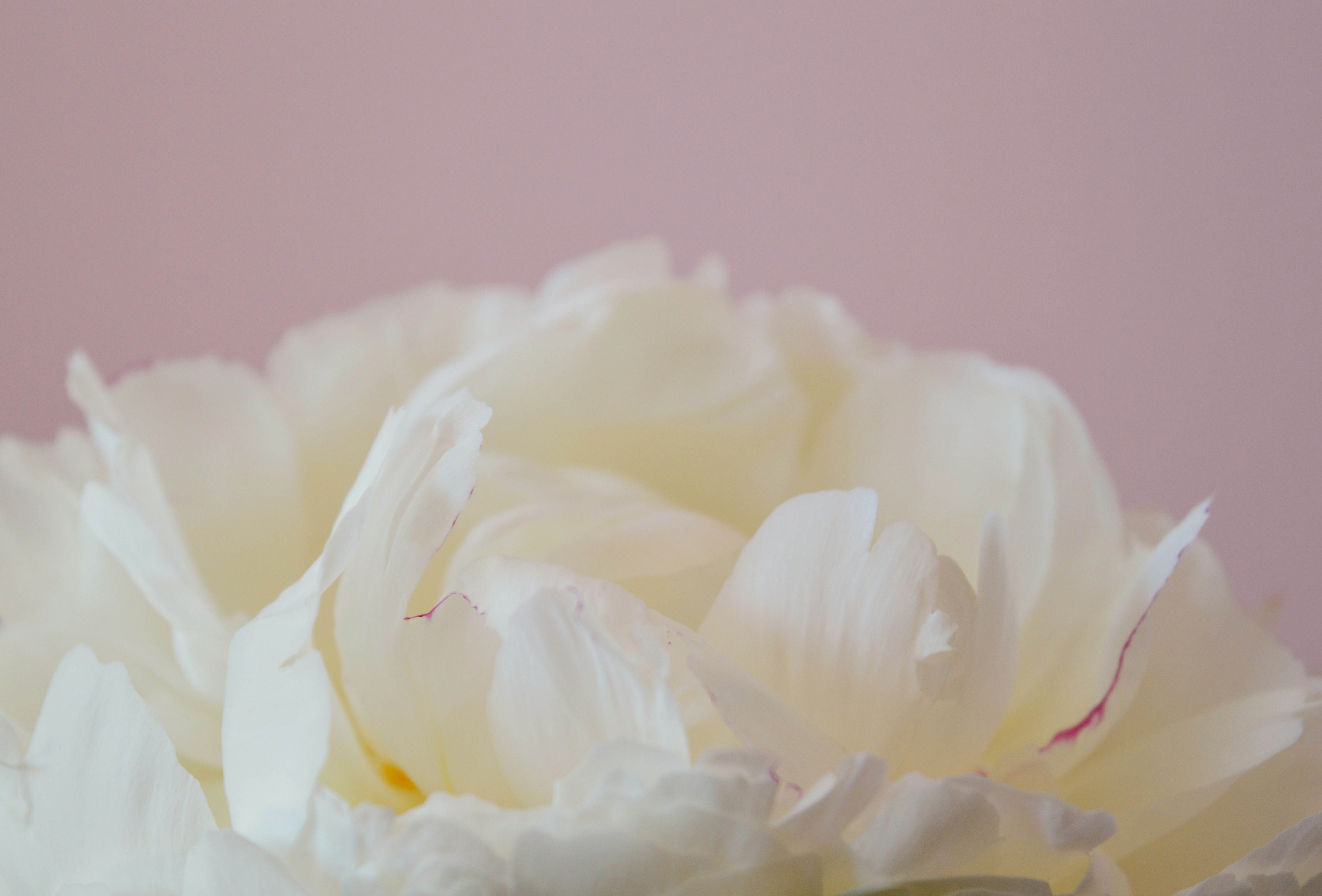 Photo by marianikolova