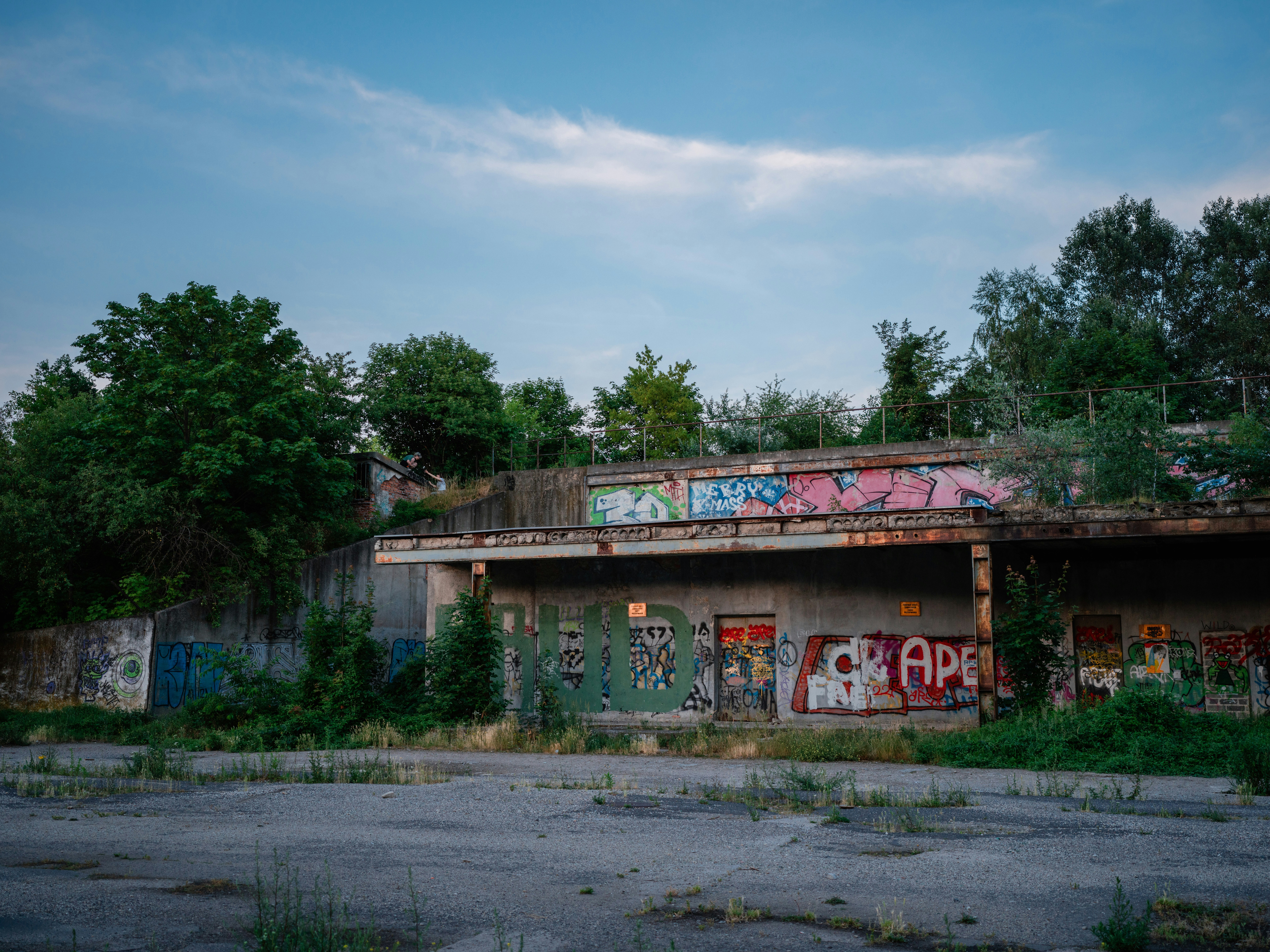 Photo by egorkomarov