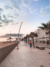 A person wearing a bright orange and blue outfit walks a dog along a palm tree-lined promenade. The pathway is paved with tiles and has modern street lamps. On the right are buildings with outdoor seating areas, while the left side features a sandy beach. The sky is partly cloudy, with a soft gradient from blue to pink as the sun sets.