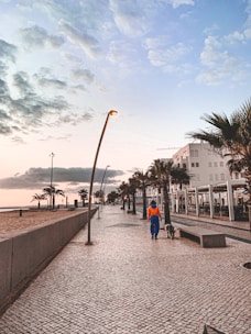 A person wearing a bright orange and blue outfit walks a dog along a palm tree-lined promenade. The pathway is paved with tiles and has modern street lamps. On the right are buildings with outdoor seating areas, while the left side features a sandy beach. The sky is partly cloudy, with a soft gradient from blue to pink as the sun sets.