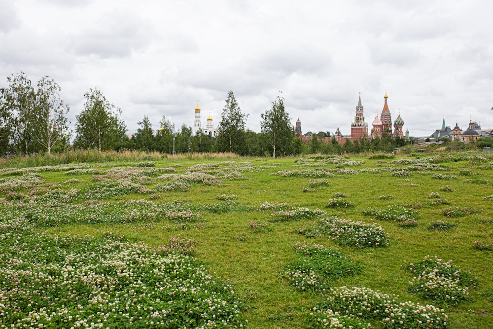 a field of grass with trees and a building in the background