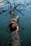 A person lies on their back on a fallen tree trunk that extends over a calm body of water. Branches protrude in various directions, and the person's arms are extended outward, reaching towards the camera. The scene conveys a sense of peace and connection with nature.