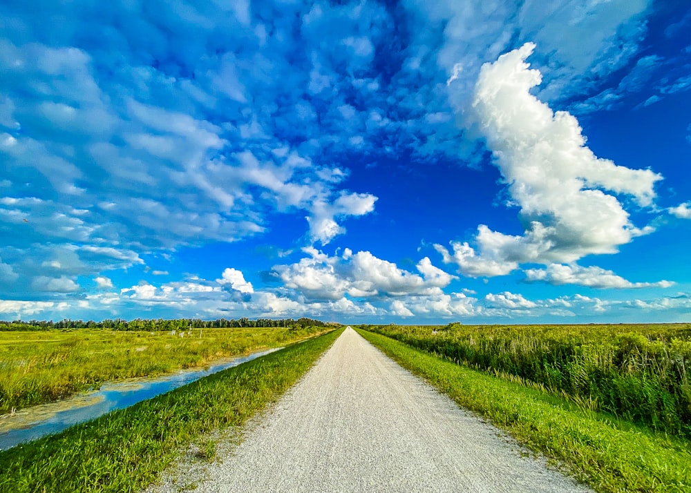 a road with grass and water on the side