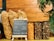 Several packages and jars of gourmet popcorn are displayed on a wooden surface. The flavors include chocolate, caramel, and cheese, as indicated by a small chalkboard. A plant decorates the right side of the image.