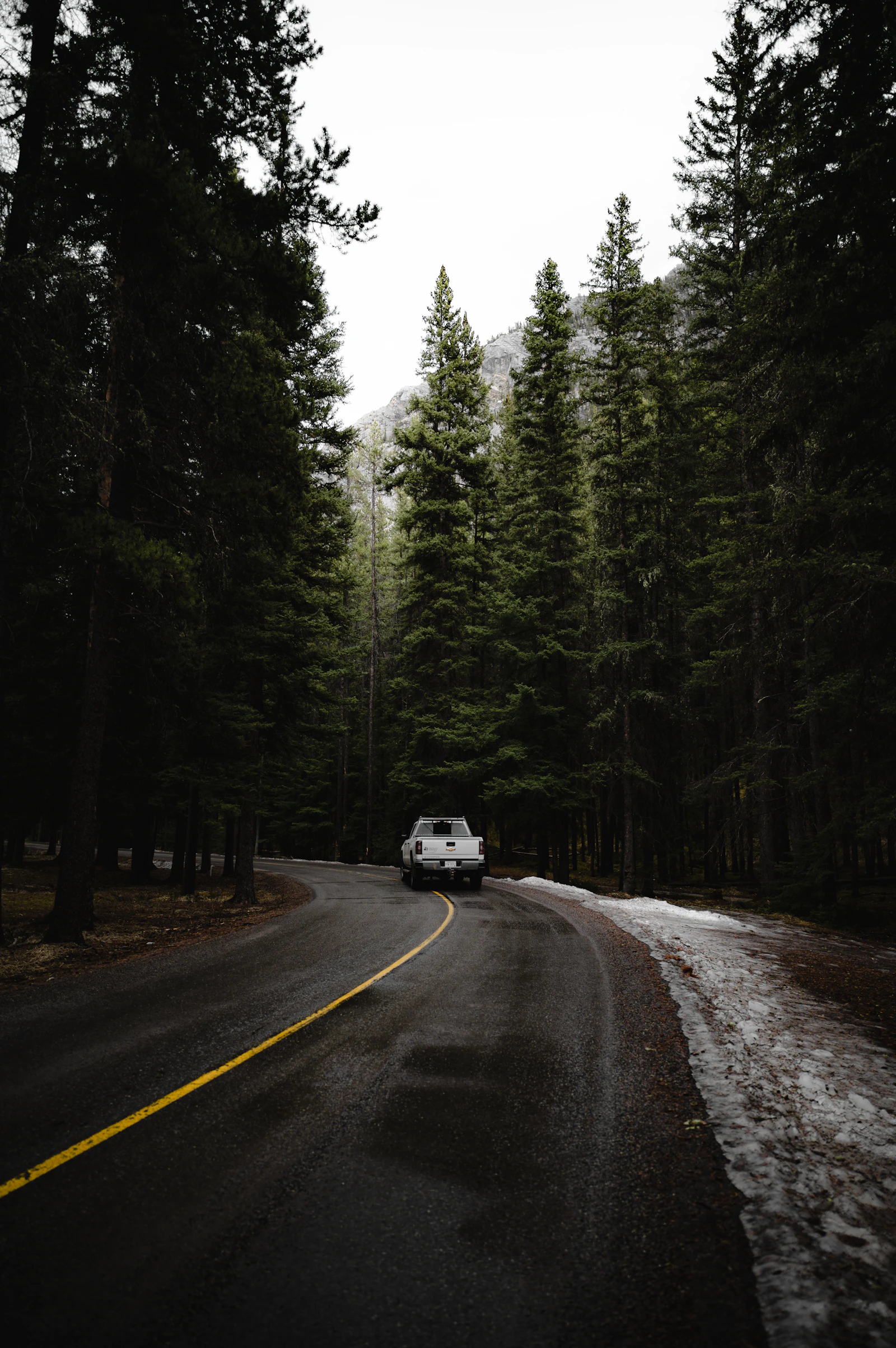 A white car drives through forest in Banff