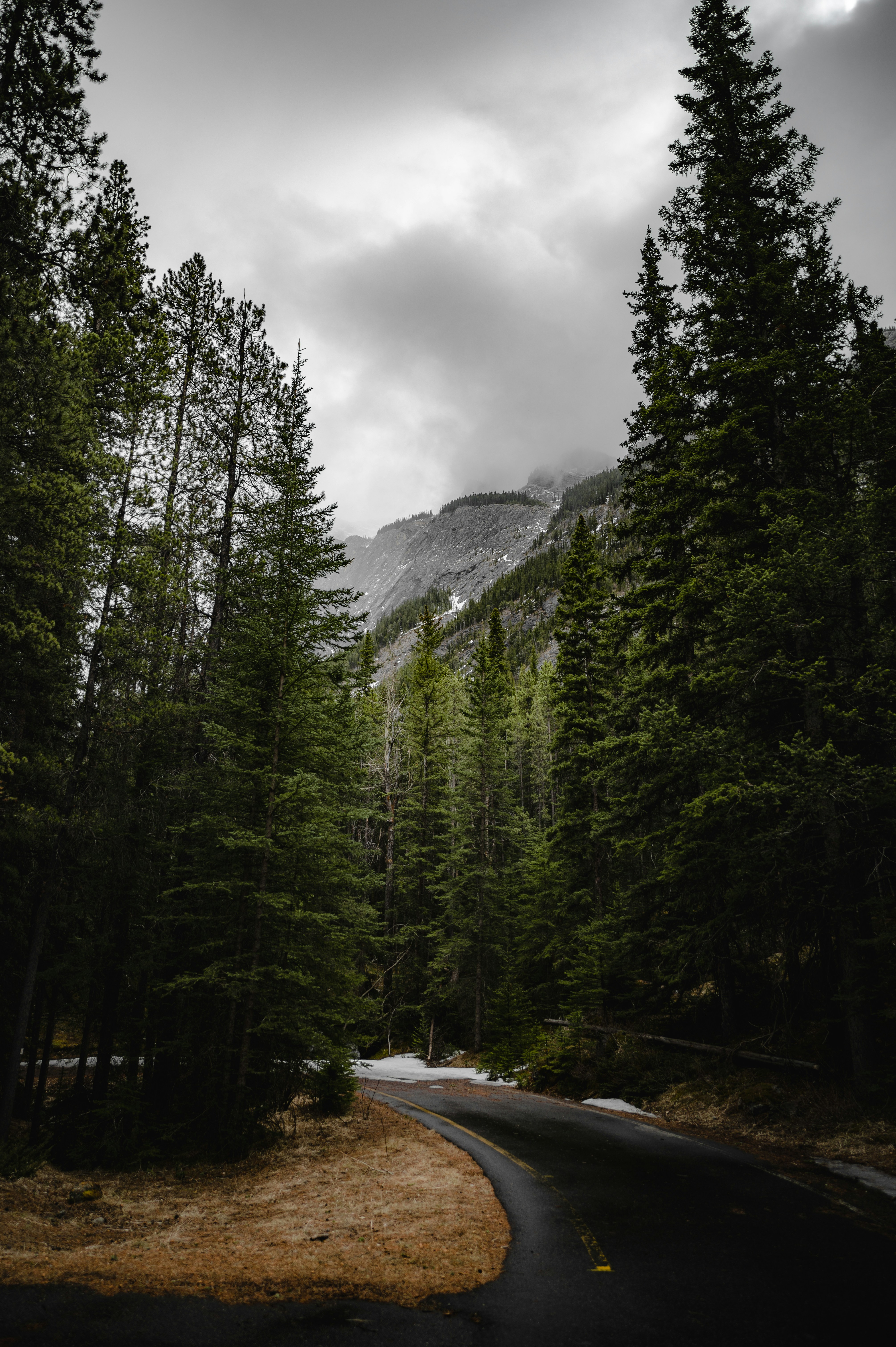 Photo by ryunosuke_kikuno