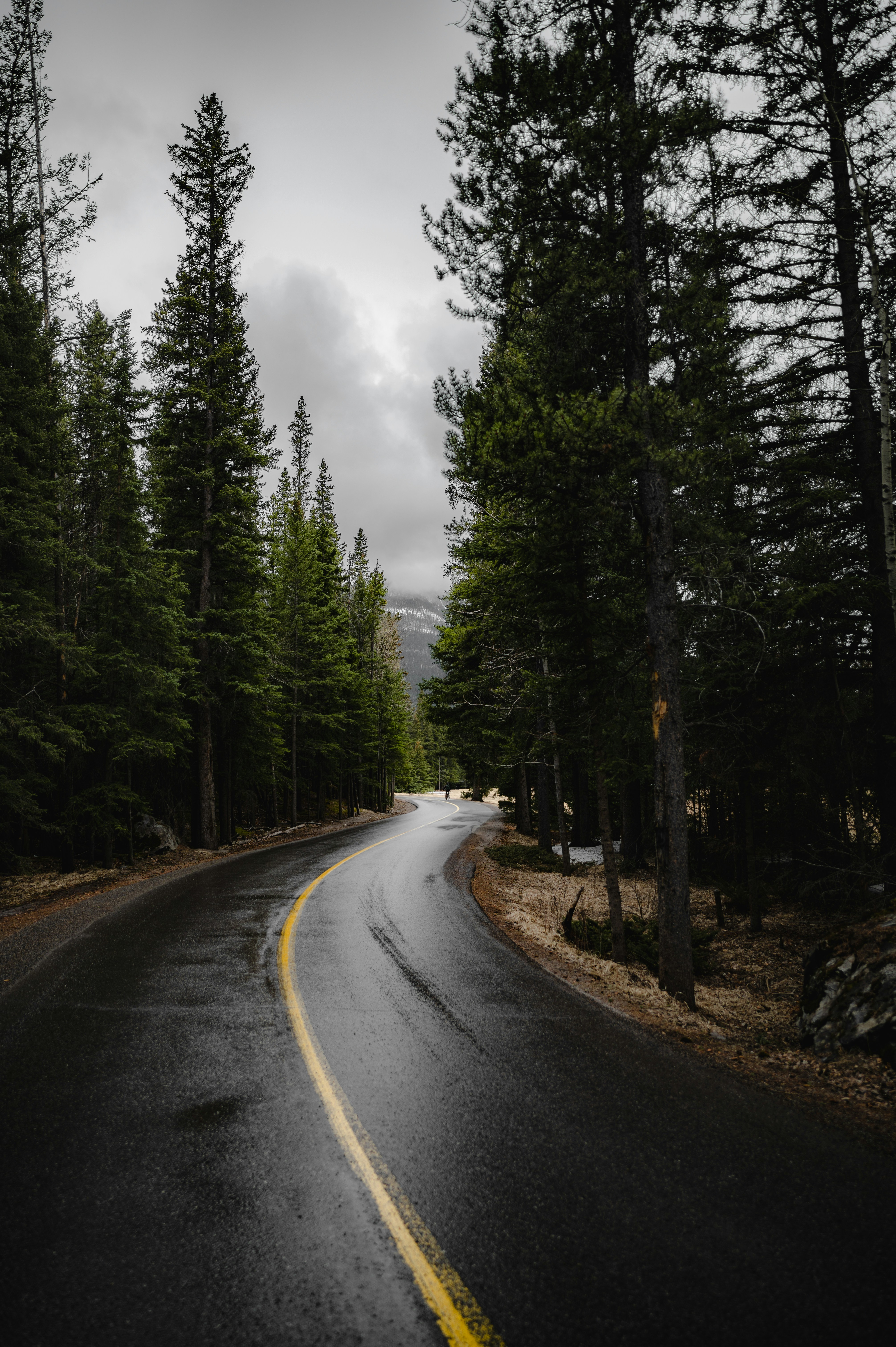 Photo by ryunosuke_kikuno