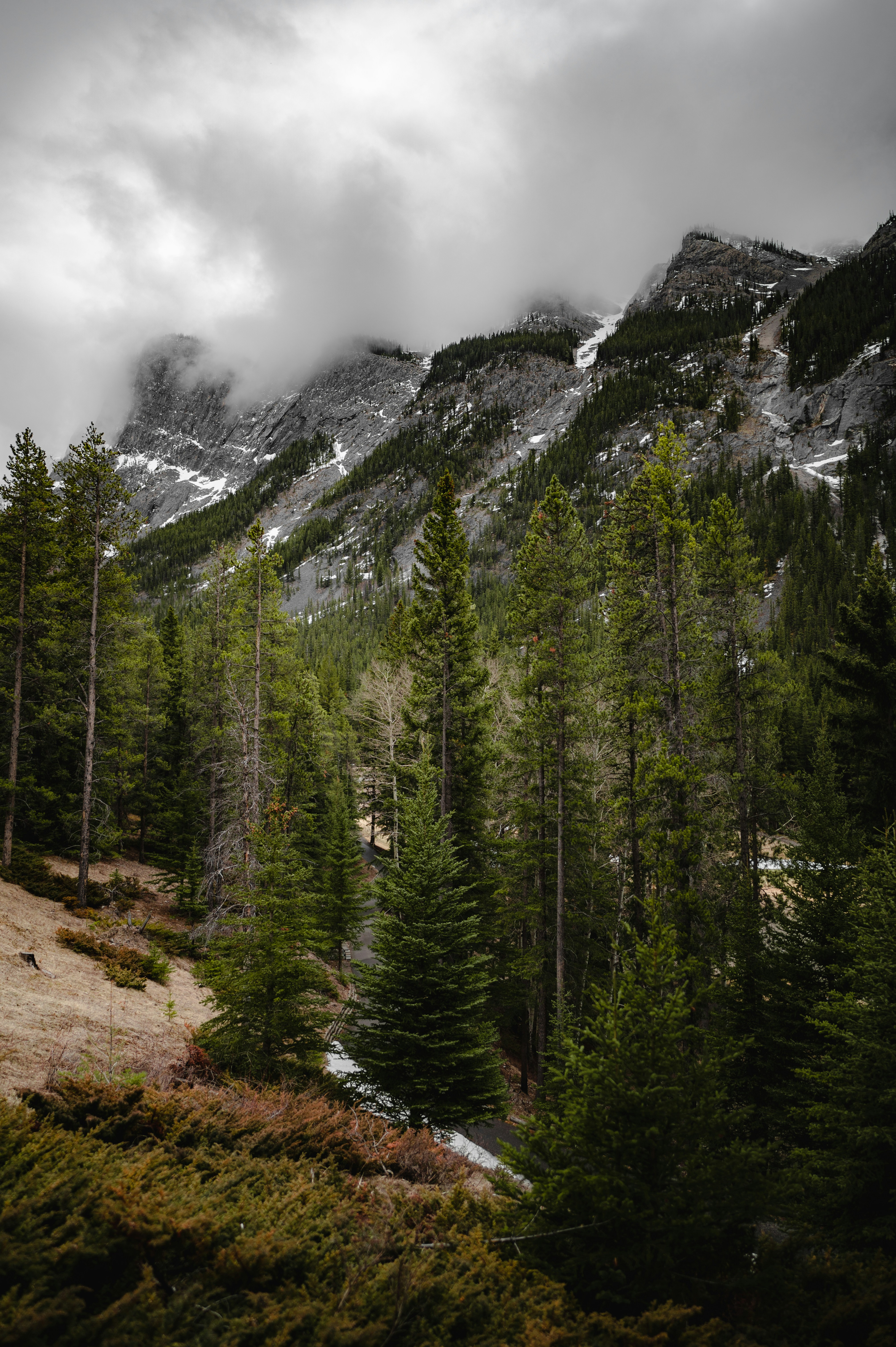 Photo by ryunosuke_kikuno