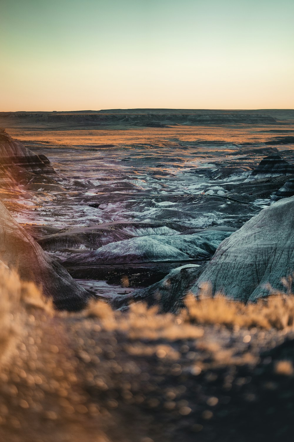 a large canyon with a river running through it