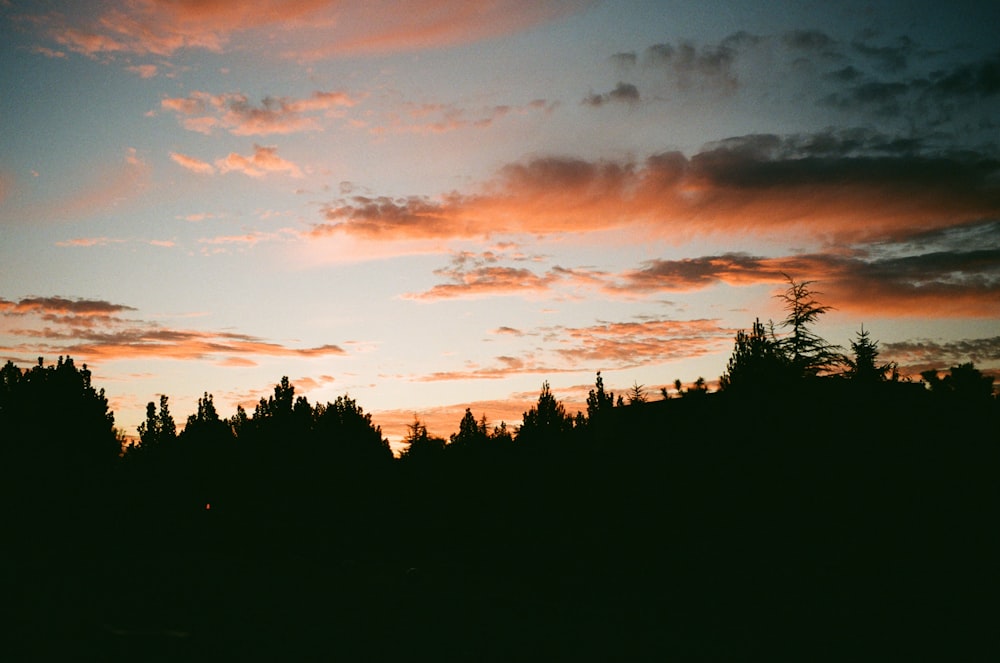 a sunset over trees