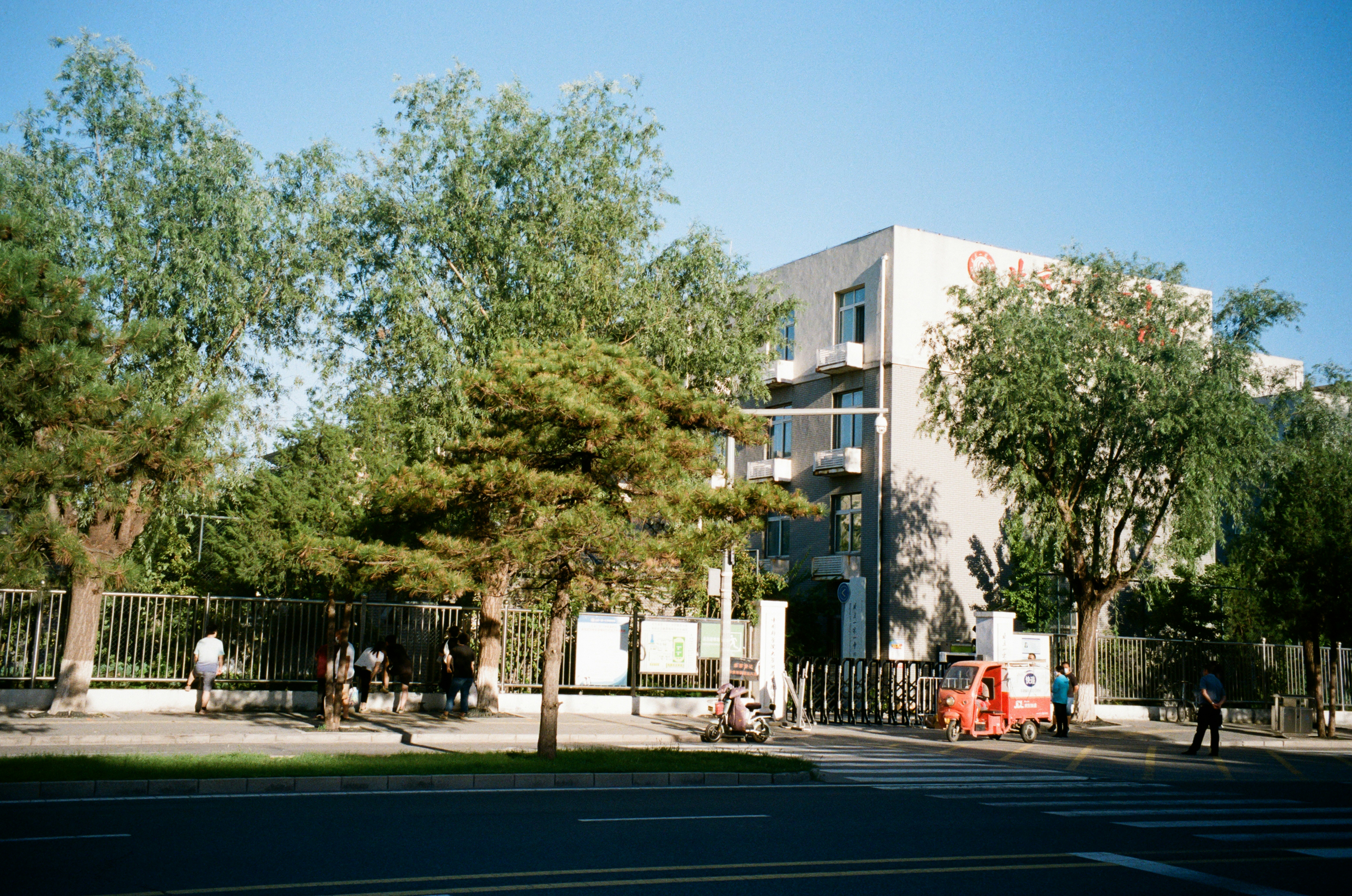 Photo by greedwolf97