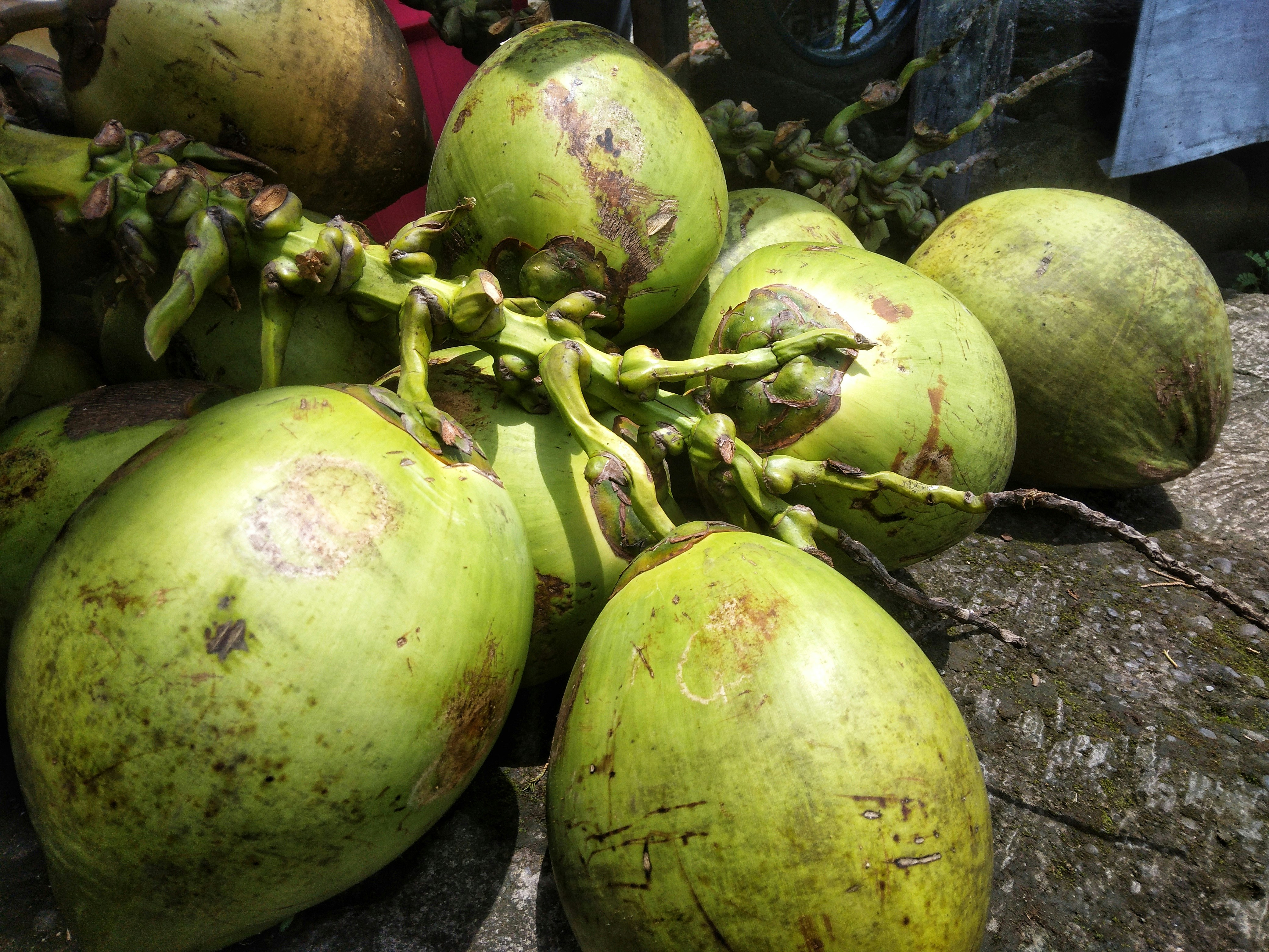 Photo by saraswati19