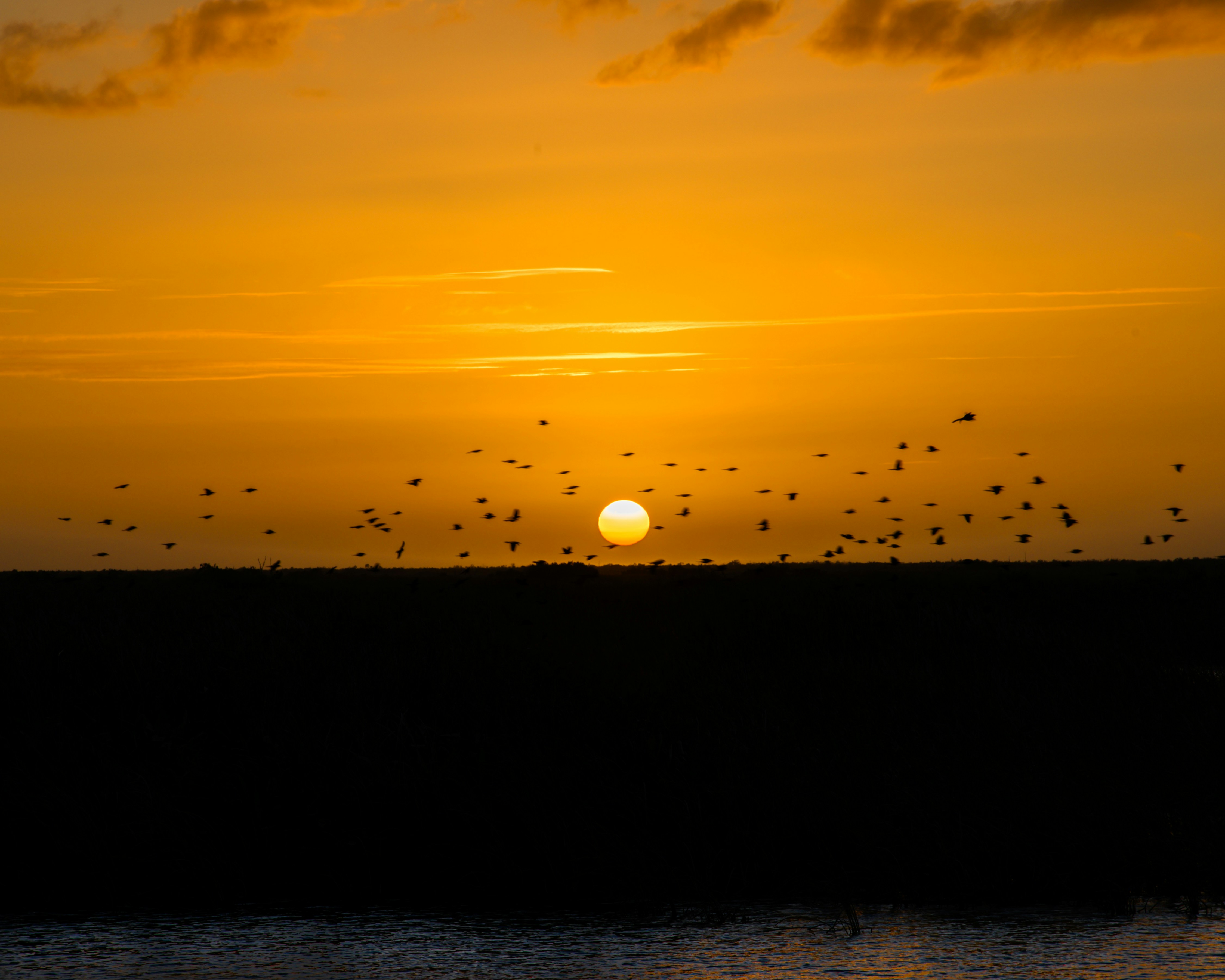 Photo by sagredophotography