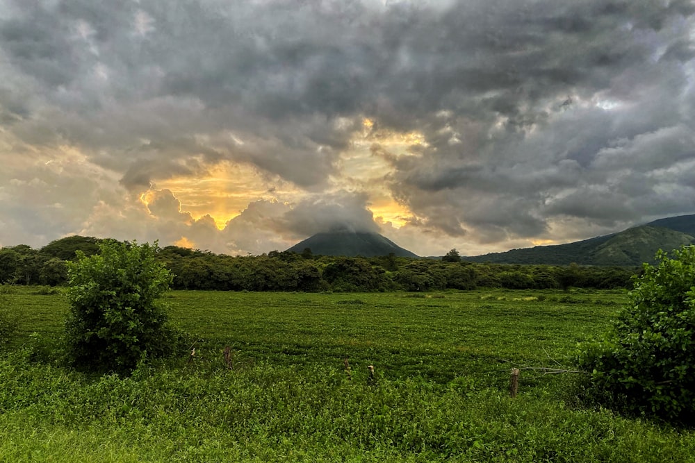 Un campo de hierba verde con montañas al fondo