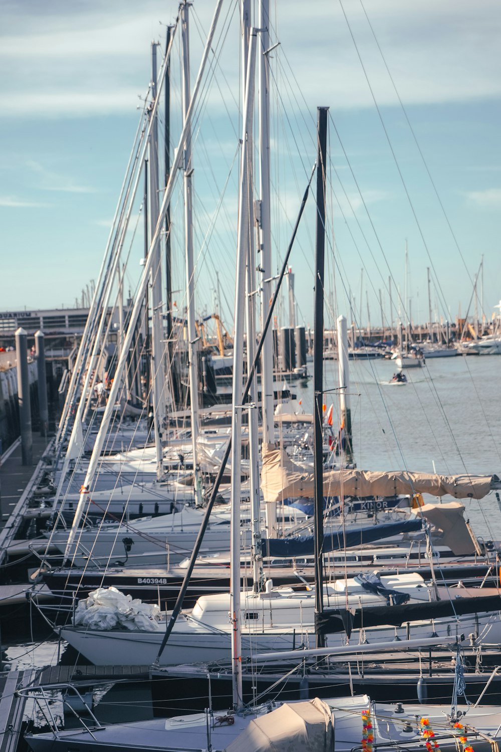 a group of sailboats in a harbor