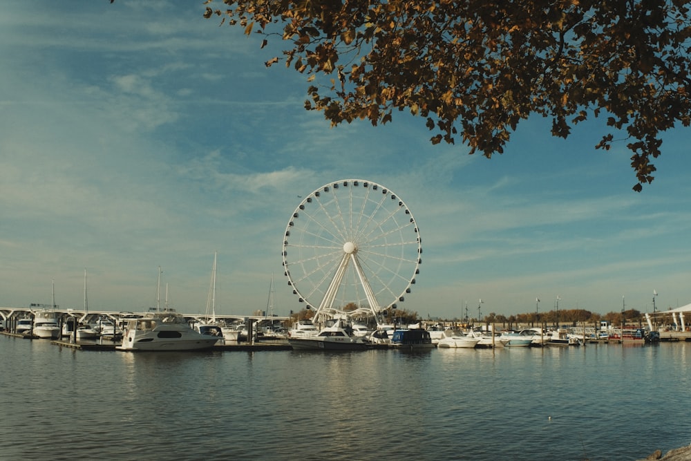 a ferris wheel by a body of water