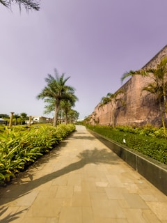 a stone path with plants and trees