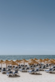 a beach is filled with umbrellas