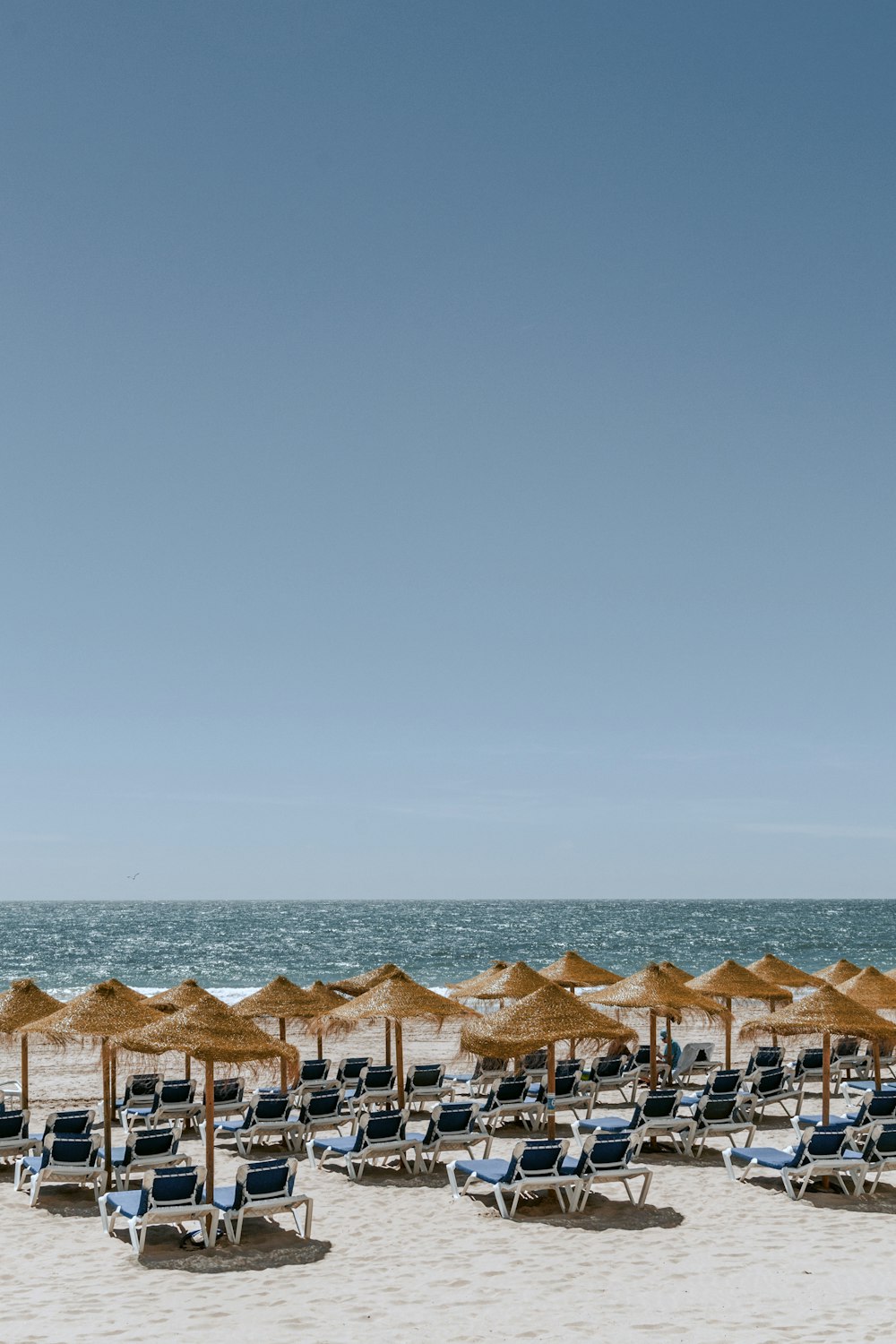 a beach is filled with umbrellas