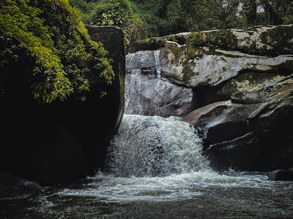 a waterfall in a forest