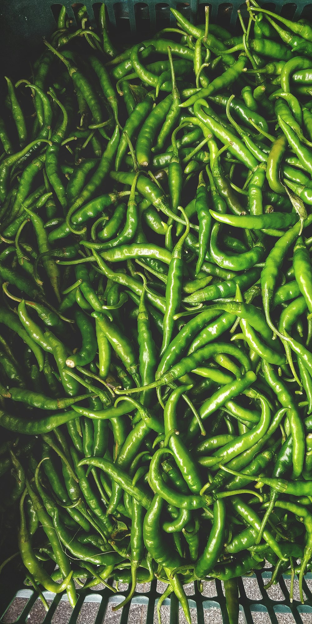 a pile of green beans