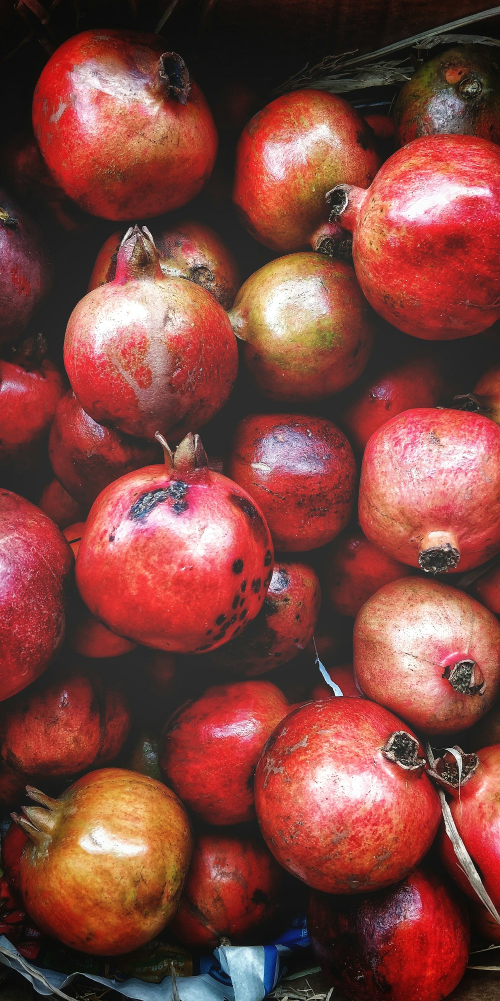 a basket of red apples