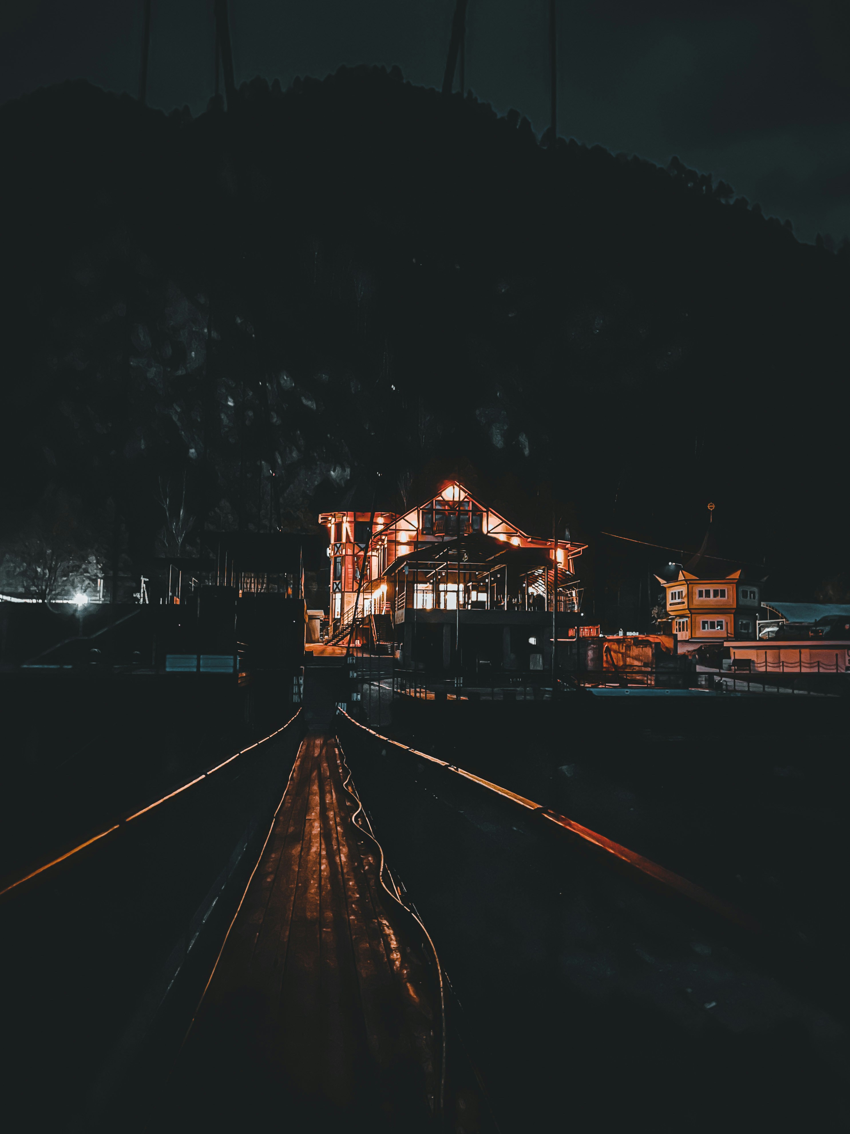 night forest wallpaper, wallpaper, Protecting Nightlife: How to Avoid Disrupting Nocturnal Animals 3