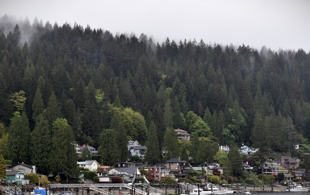 a group of houses surrounded by trees