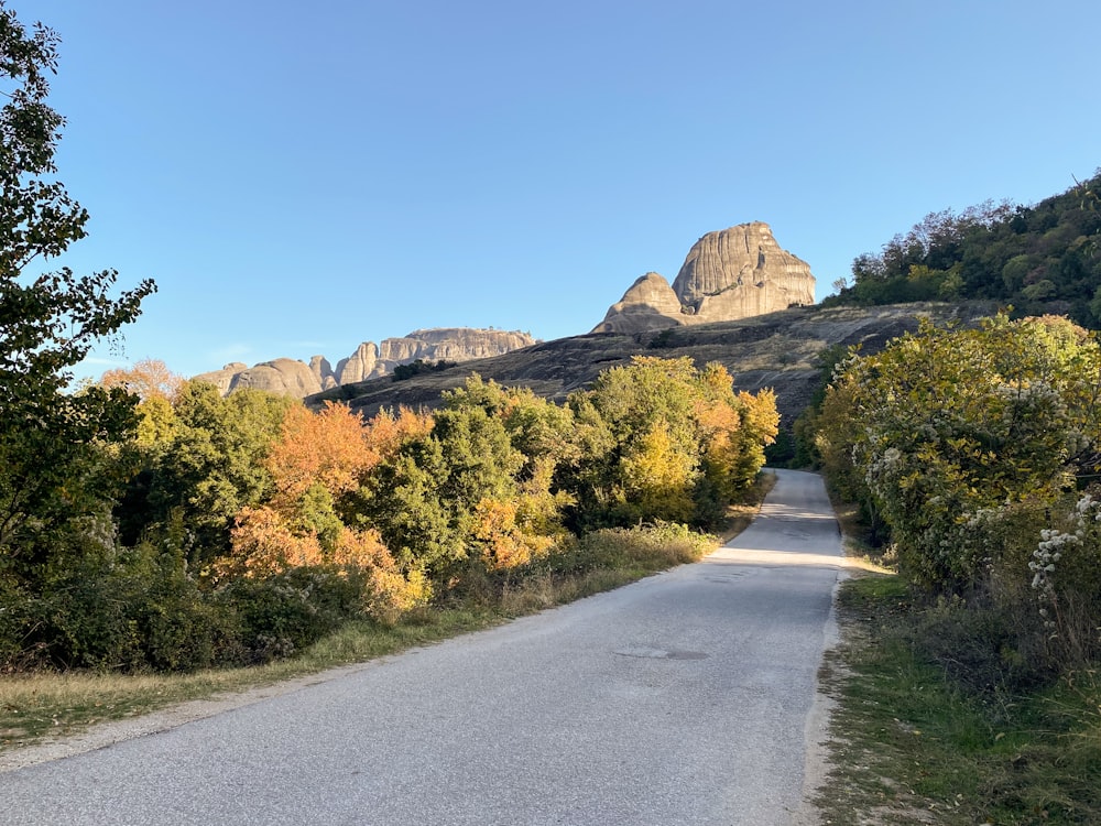 a road with trees and mountains in the background