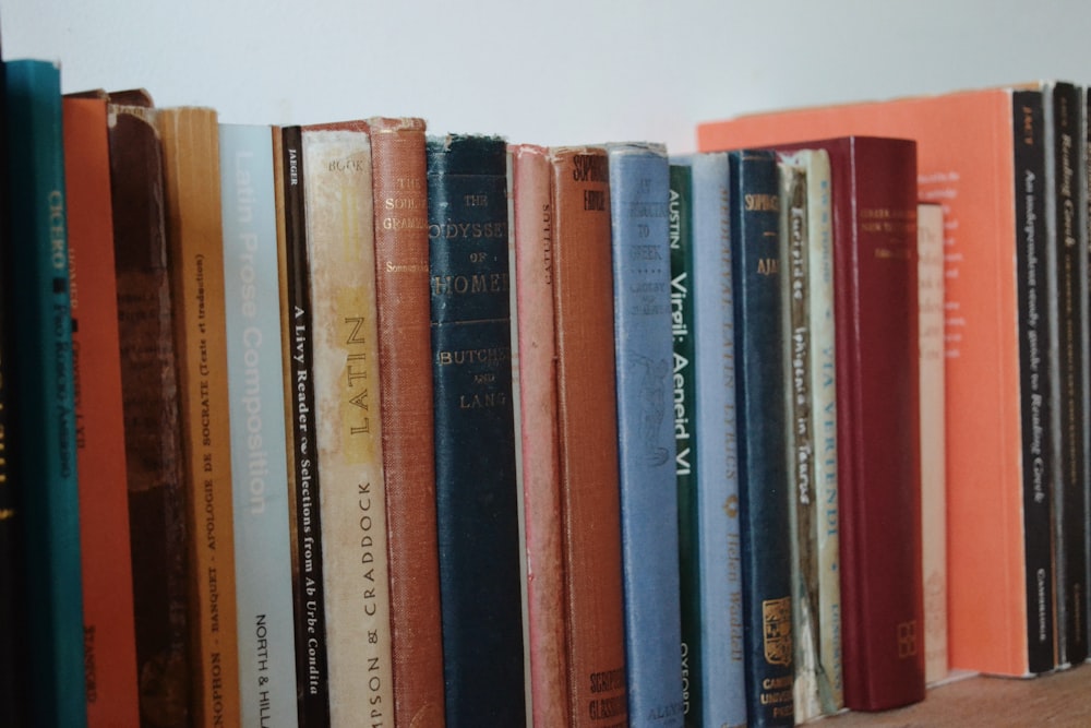 a group of books on a shelf