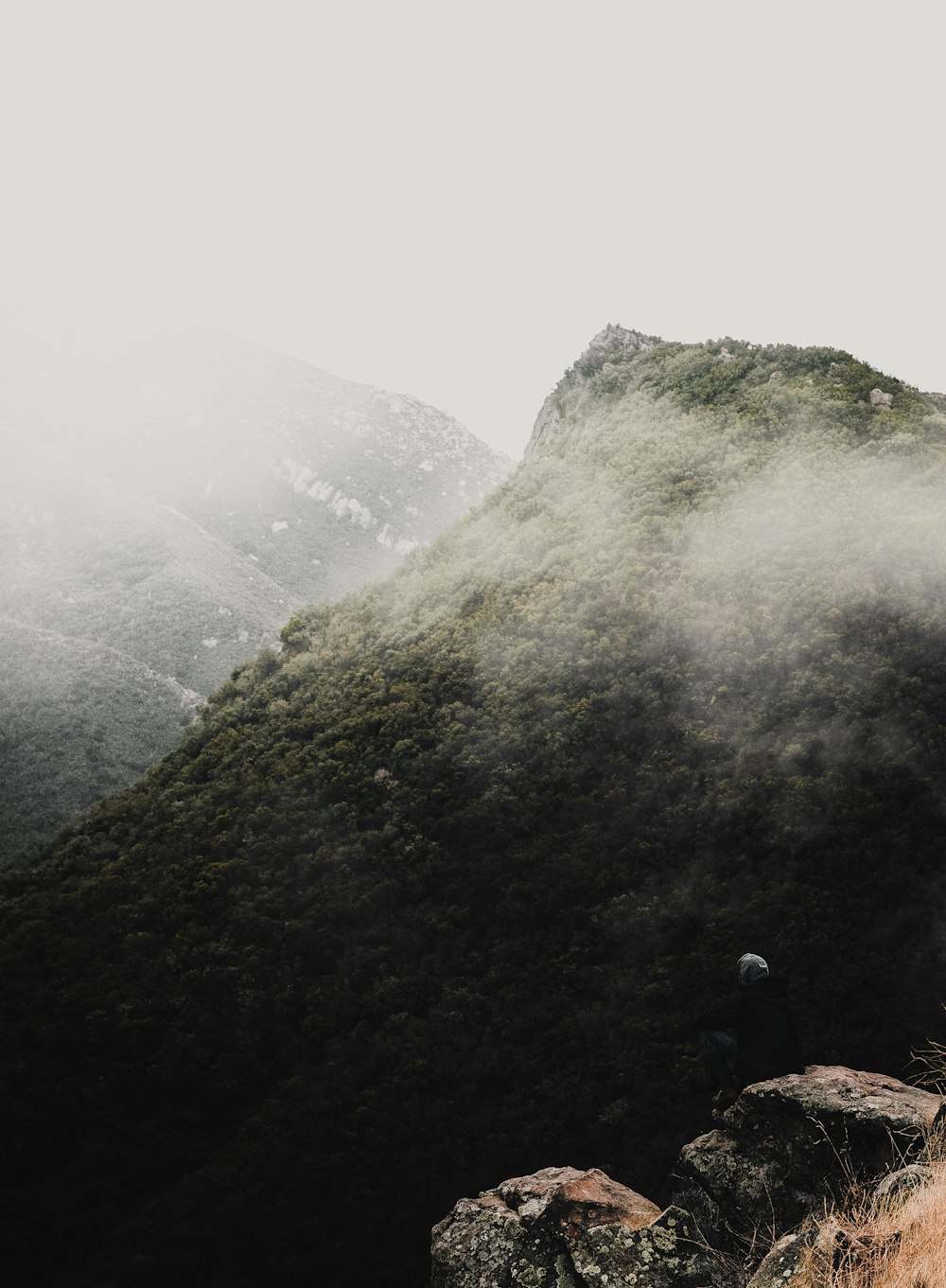 a foggy mountain side