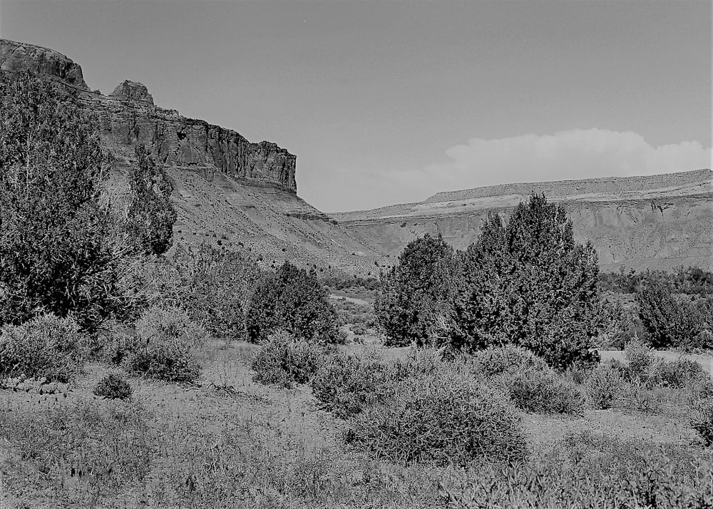 a landscape with hills and trees