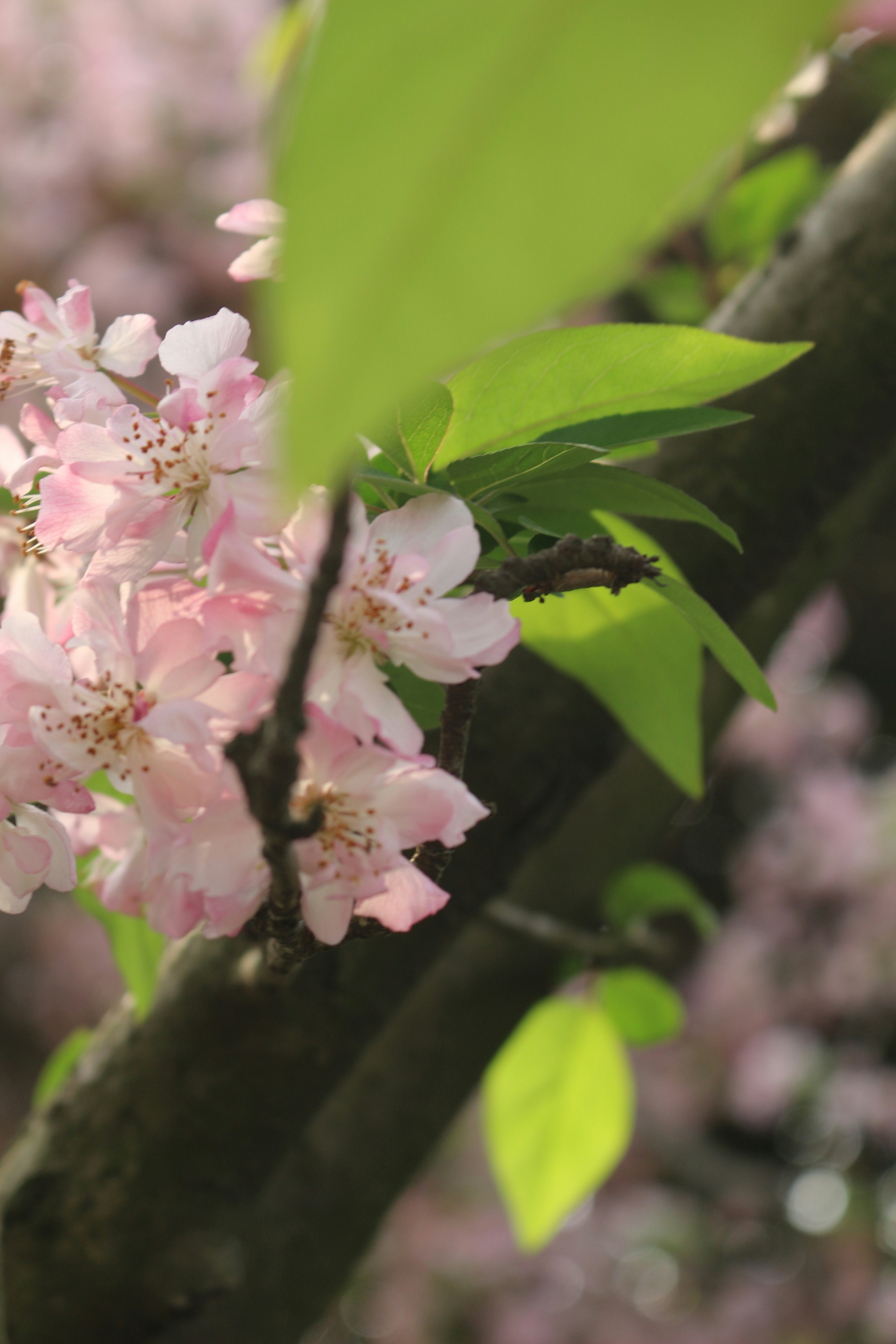 Photo by yi10_00