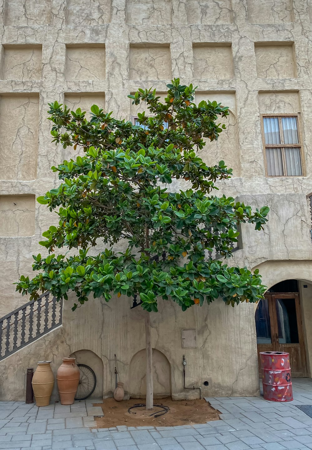 a tree in front of a building