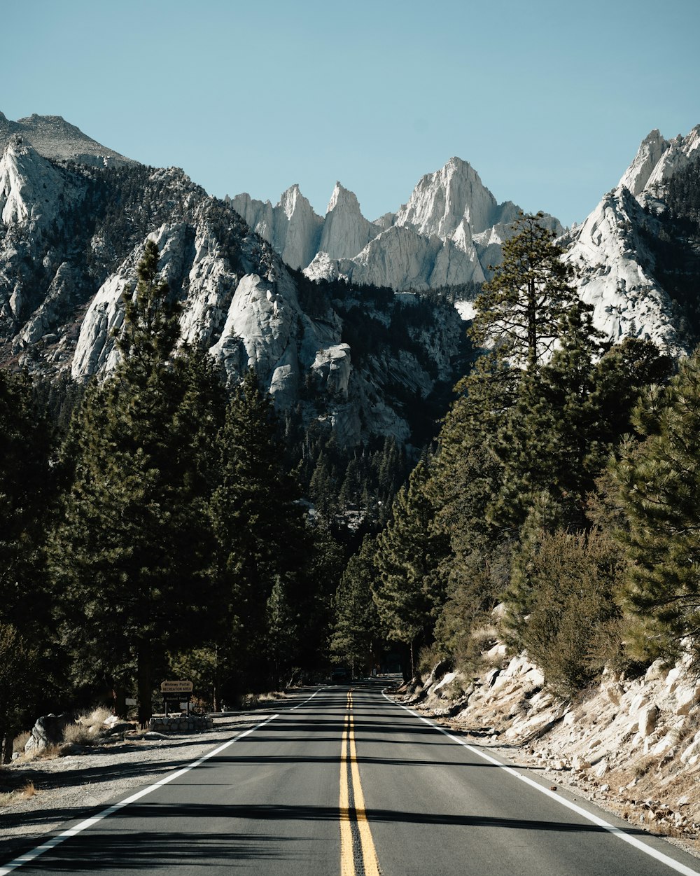 a road with trees and mountains in the background