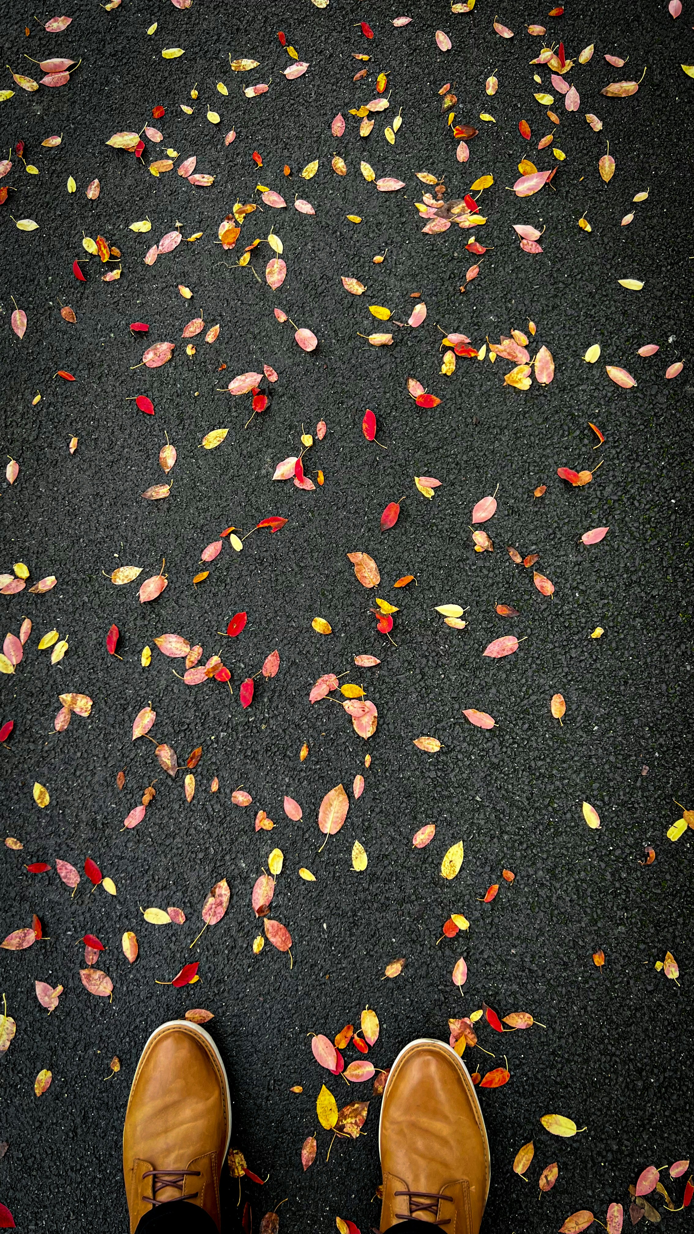 Photo by sid_balachandran