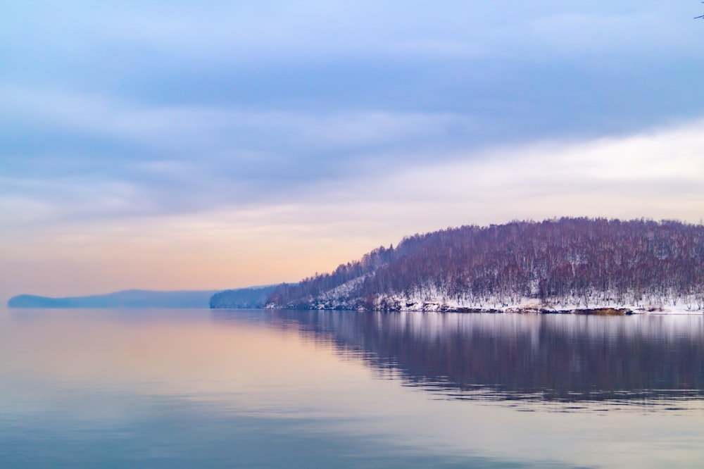 a body of water with trees on the side