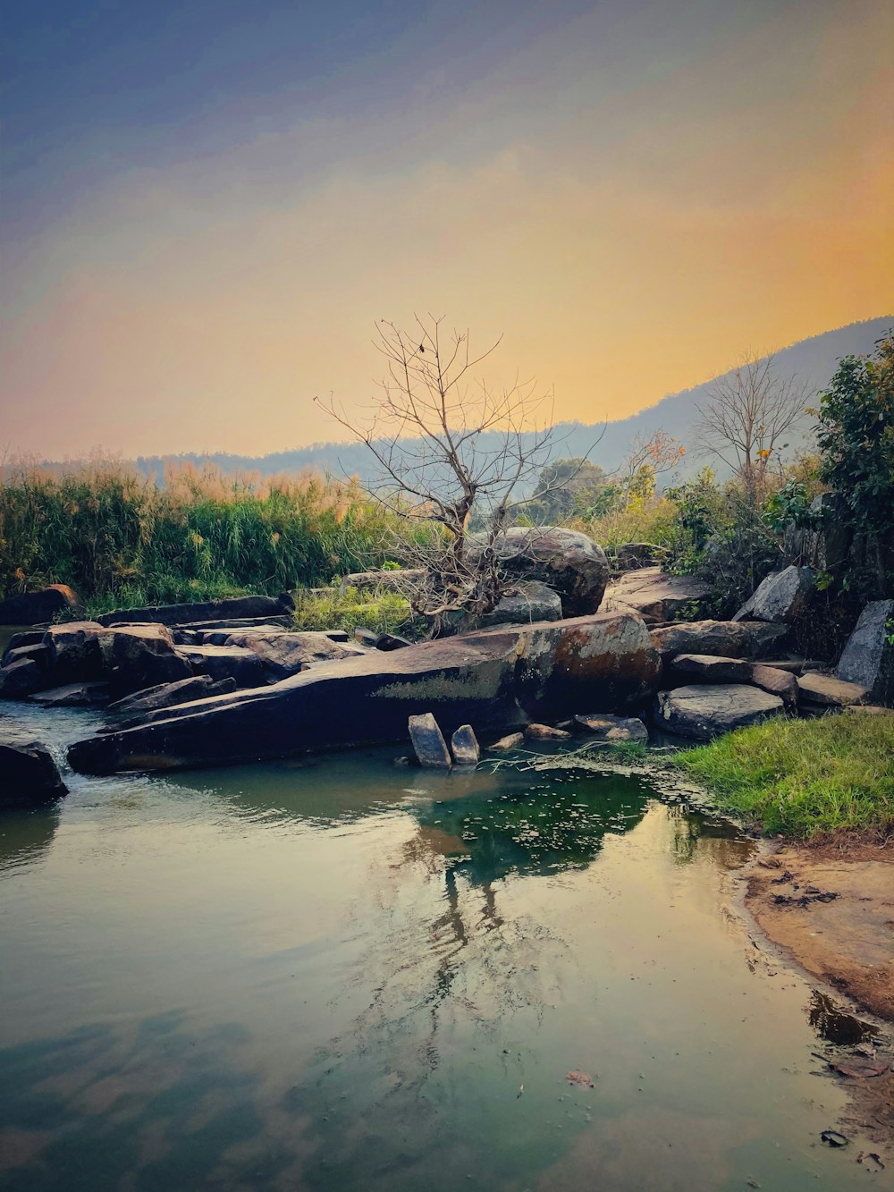 a river with rocks and trees