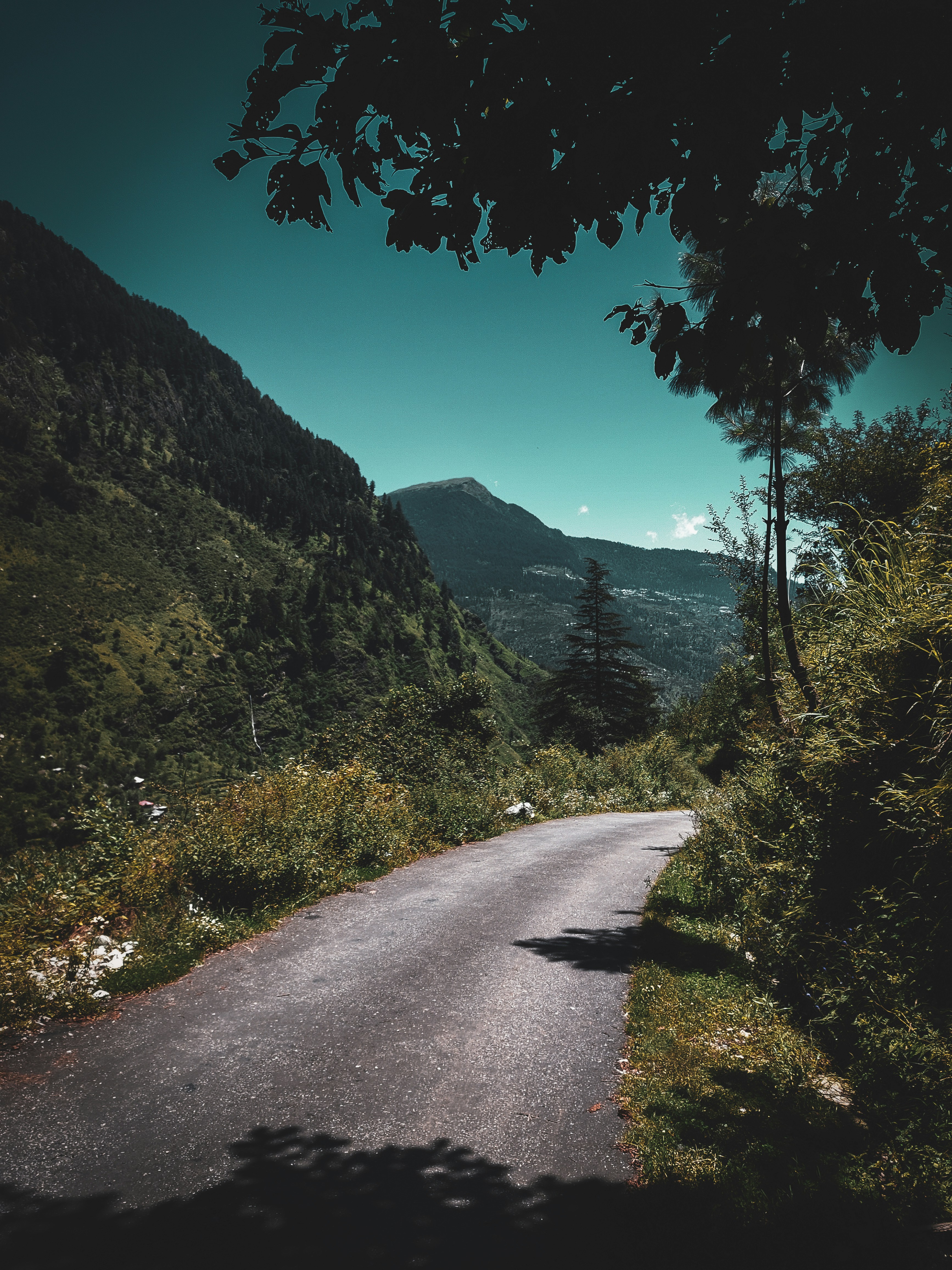 Photo by aashishchindaliya