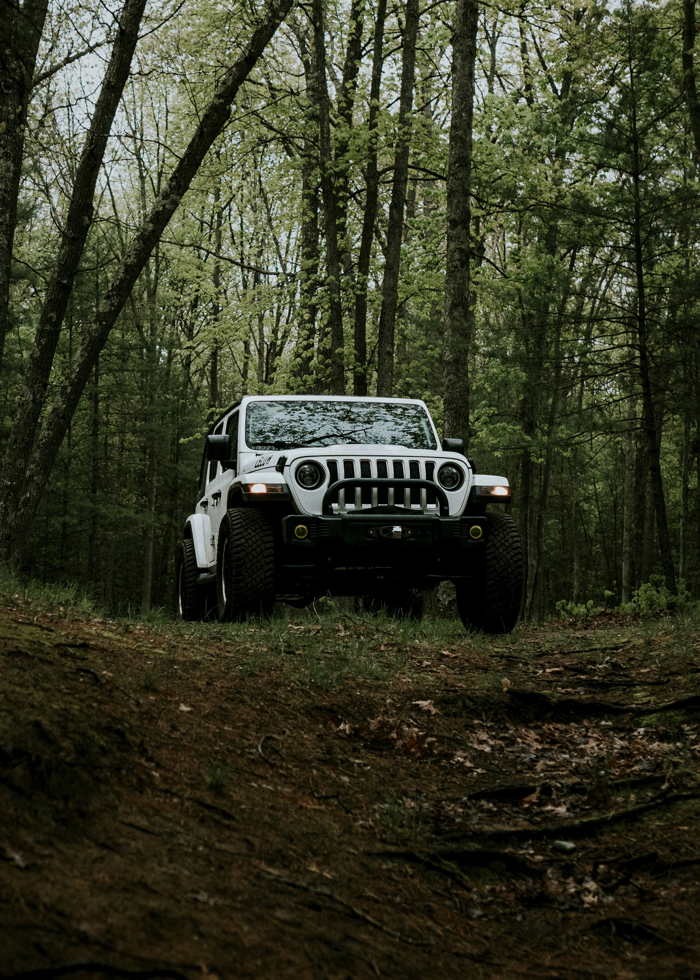 a white jeep driving through a forest