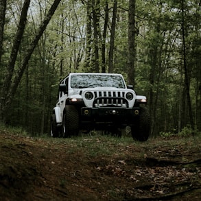 a white jeep driving through a forest