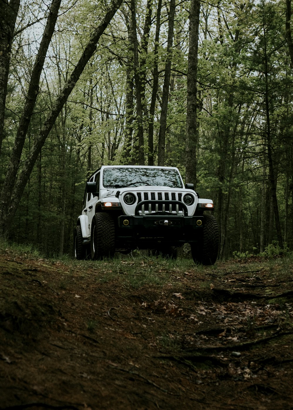 a white jeep driving through a forest