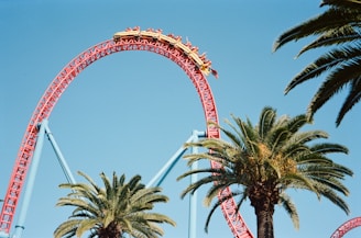 a roller coaster with palm trees