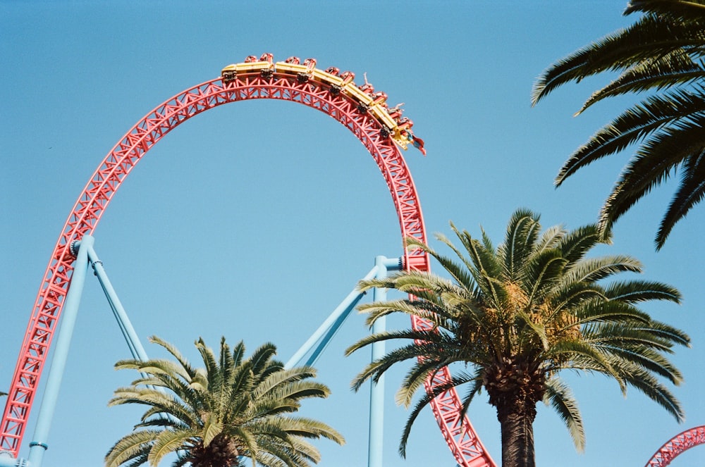 a roller coaster with palm trees