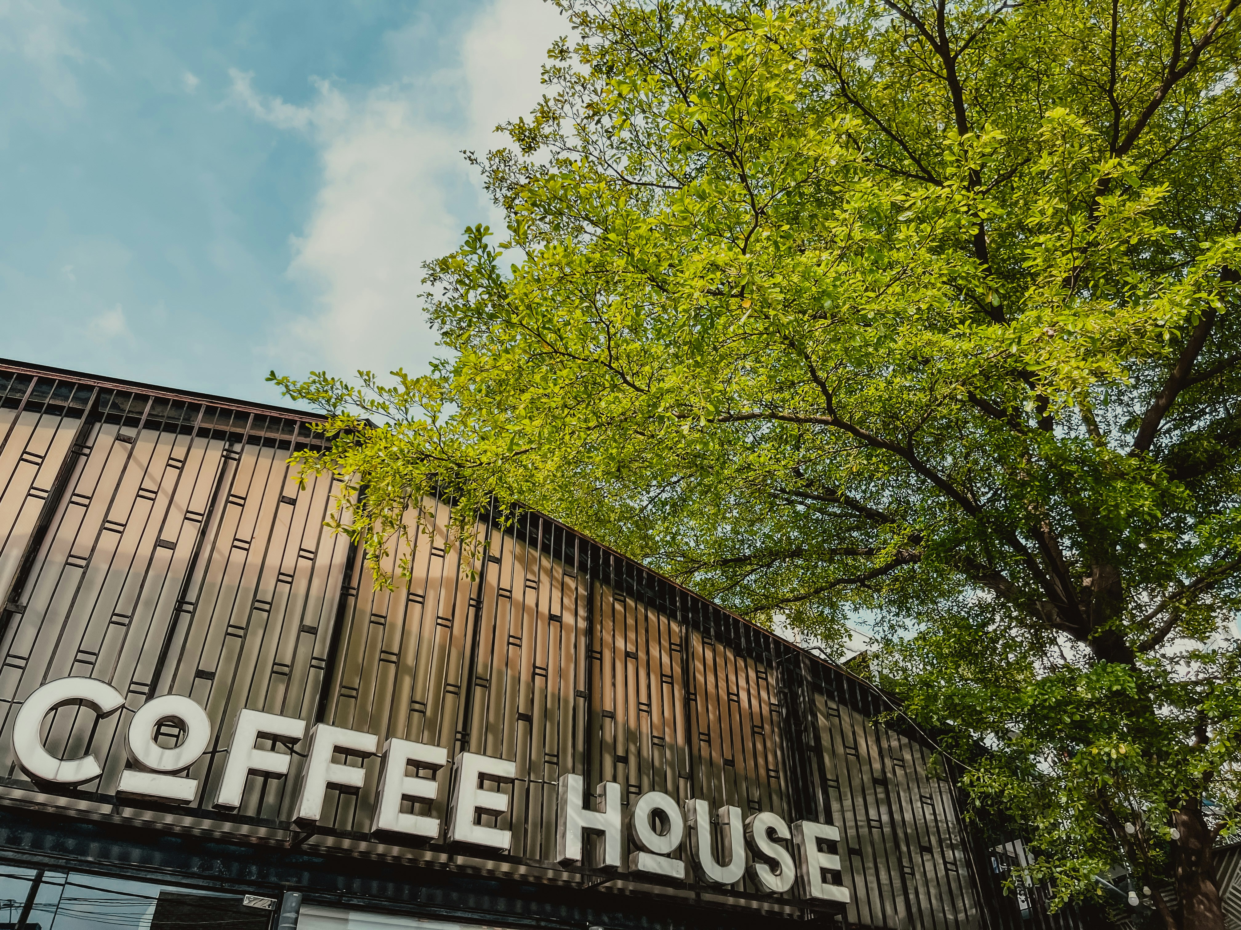 Treehouse Cafe