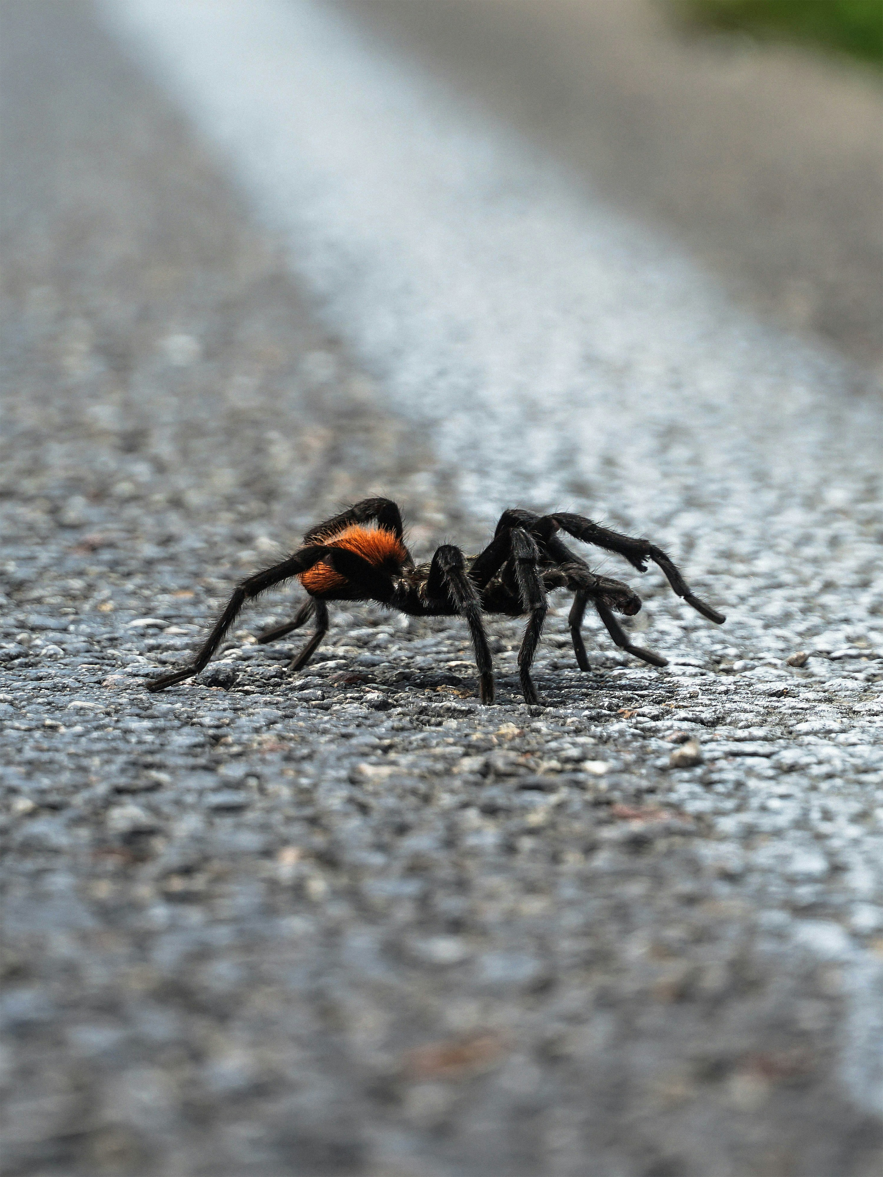 Tools For Sustained Action